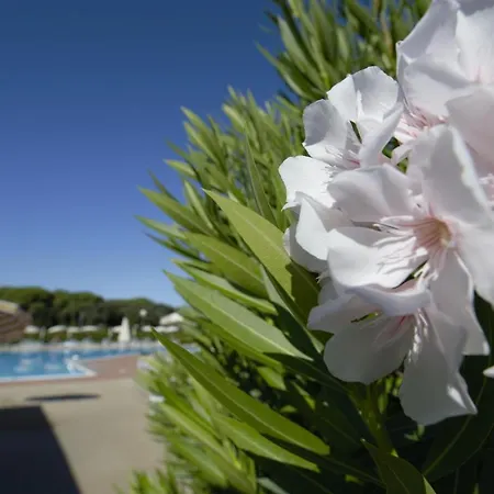 Le Residenze Di Santa Costanza - Mirto/corbezzolo Aparthotel